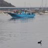 金沢八景平潟湾