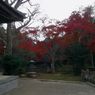 寺