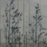 R0011706