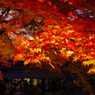 秋の京都（６）