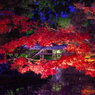 秋の京都（８）