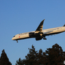 「群青」AIR CANADA 787-9 C-FVLQ  着陸