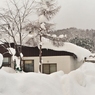 忌々しい雪とエゾシカ