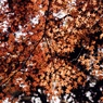 斜光