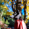紅葉と狐