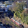 箱根登山鉄道が行く