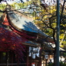 晩秋の神社