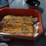 ヤバイと鰻を食う