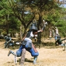 img038