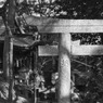信太森葛葉稲荷神社