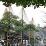 雪つり　IMGP9299zz