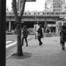 さあ信号が変わった