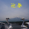 万物寒　明けましておめでとうございます