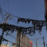 西麻布界隈　２