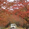 BJ44Vのある風景 26