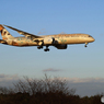 「青が好き」 ETIHAD 787-9 A6-BLN  着陸します