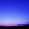 朝の青