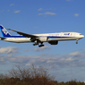 「真青の空」ANA 777-300 JA794A  Landing
