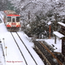 樽見鉄道　冬の旅