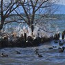 湖辺の飛沫氷　１