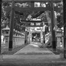 信太森葛葉稲荷神社