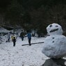 寒い～( ；∀；)③　雪だるま