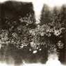2006