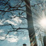 2006