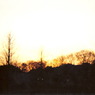 2006