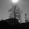 Famous Title 特集１：The Sun also rises：B&W