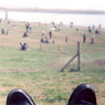 2008