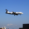 「あおいそら」Aurora A319-111 VP-BUN  Landing