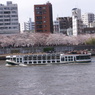 遊覧船と隅田公園