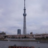 屋形船とスカイツリー