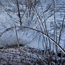 しぶき氷　３