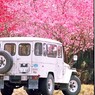 BJ44Vのある風景 51