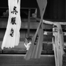 猫　～ギャラリ～