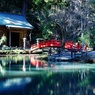 オールドレンズで　小国神社