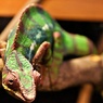 ぼやける、眼鏡買わないと