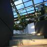 植物園　Ⅵ