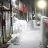 夜の散歩道