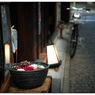 「街角の花」小江戸川越散歩443