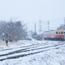こんな雪の日には