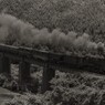 田川線のキューロク