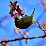 カワジロー⁈③