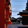 写真エッセイ：直線の多い光景