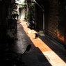 高雄 鹽埕埔 路地裏