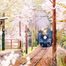 春の風