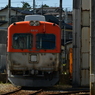 追いかけて。