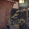 光と風